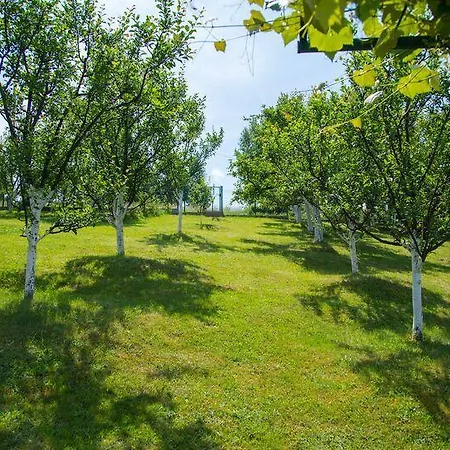 شقة Countryside House Close To The City سراييفو